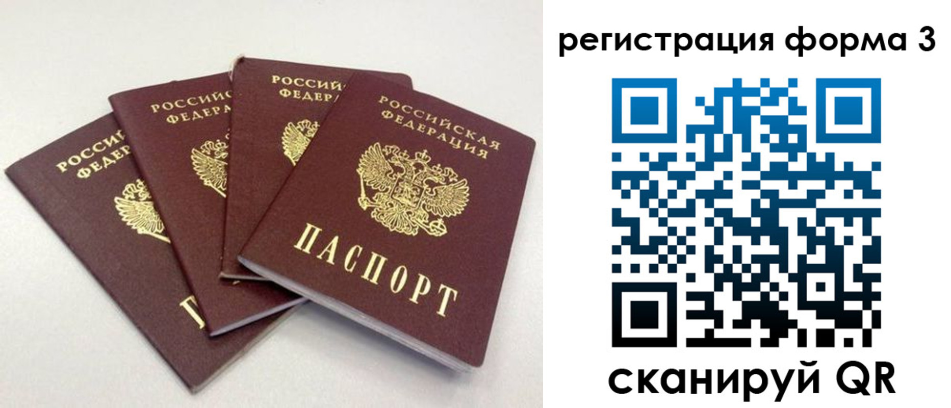 прописка 2025 в Волгоградской области
